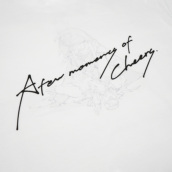 �J���[�o���G�[�V����