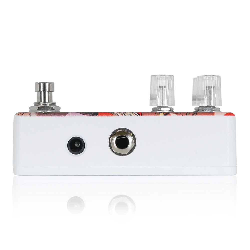 ANIMALS PEDAL Custom Illustrated / SBOD 数分間のエールを 中川 萠美