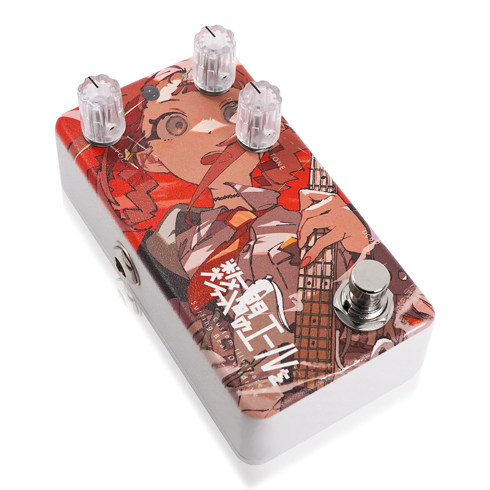 Animals Pedal 「曖昧の合間に愛を待つ」 Custom Illustrated / PPDS coalowl 押せ！引け！ reprint