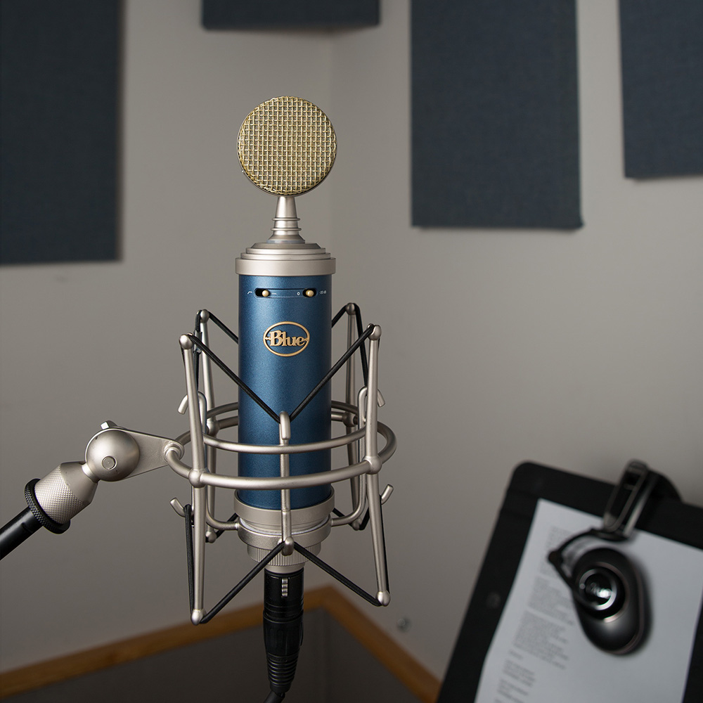 Blue Microphones Bluebird sl