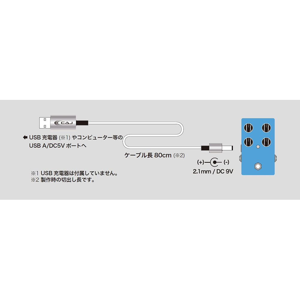 Custom Audio Japan (CAJ) Power Cable USB/DC9 II｜ミュージックランドKEY