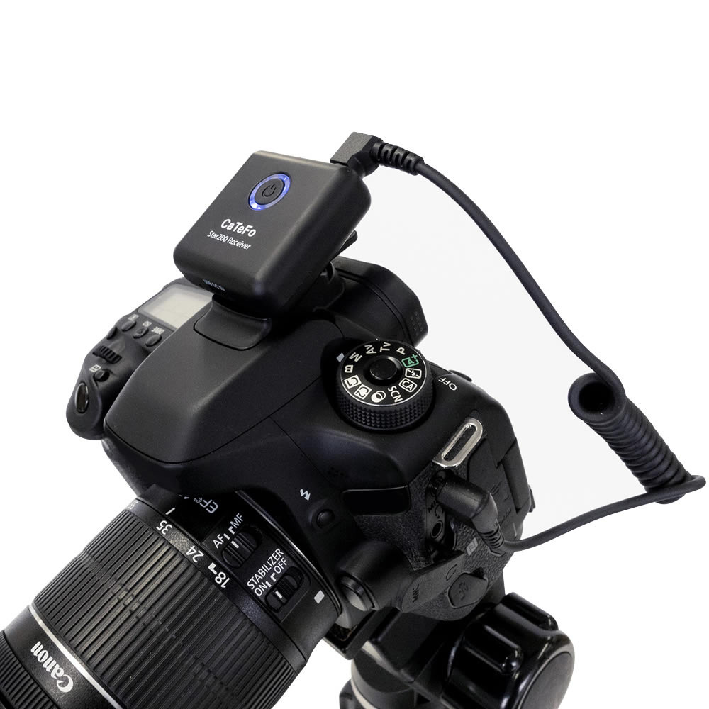 CaTeFo Star200T1｜ミュージックランドKEY