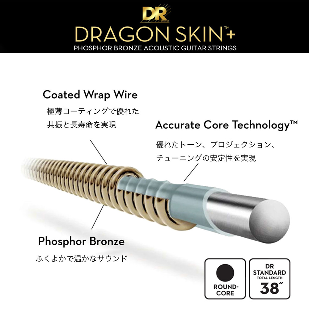 DR DAP-10/12 [Dragon Skin+ Phosphor Bronze Acoustic / Light 12-String 10 -48]｜ミュージックランドKEY