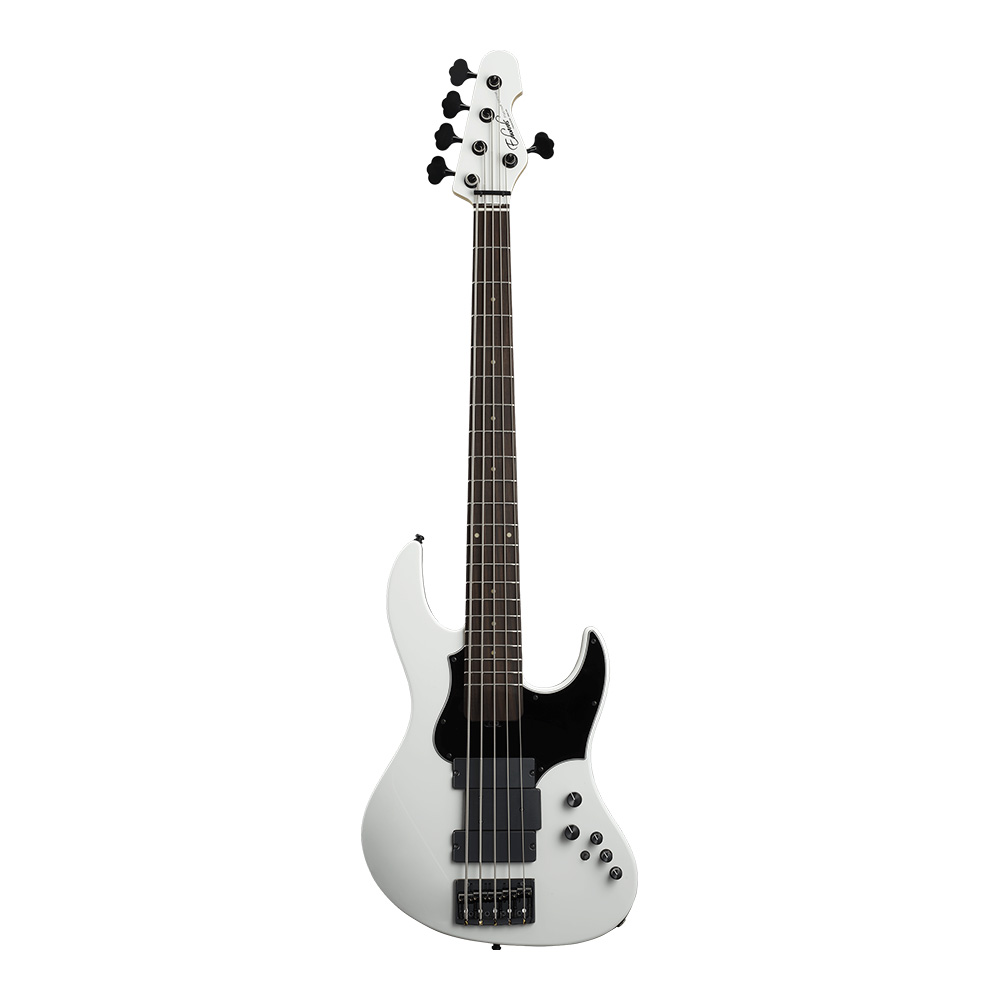 EDWARDS Platinum Edition E-AMAZE-5-190 SW (Snow White) [IKUO 