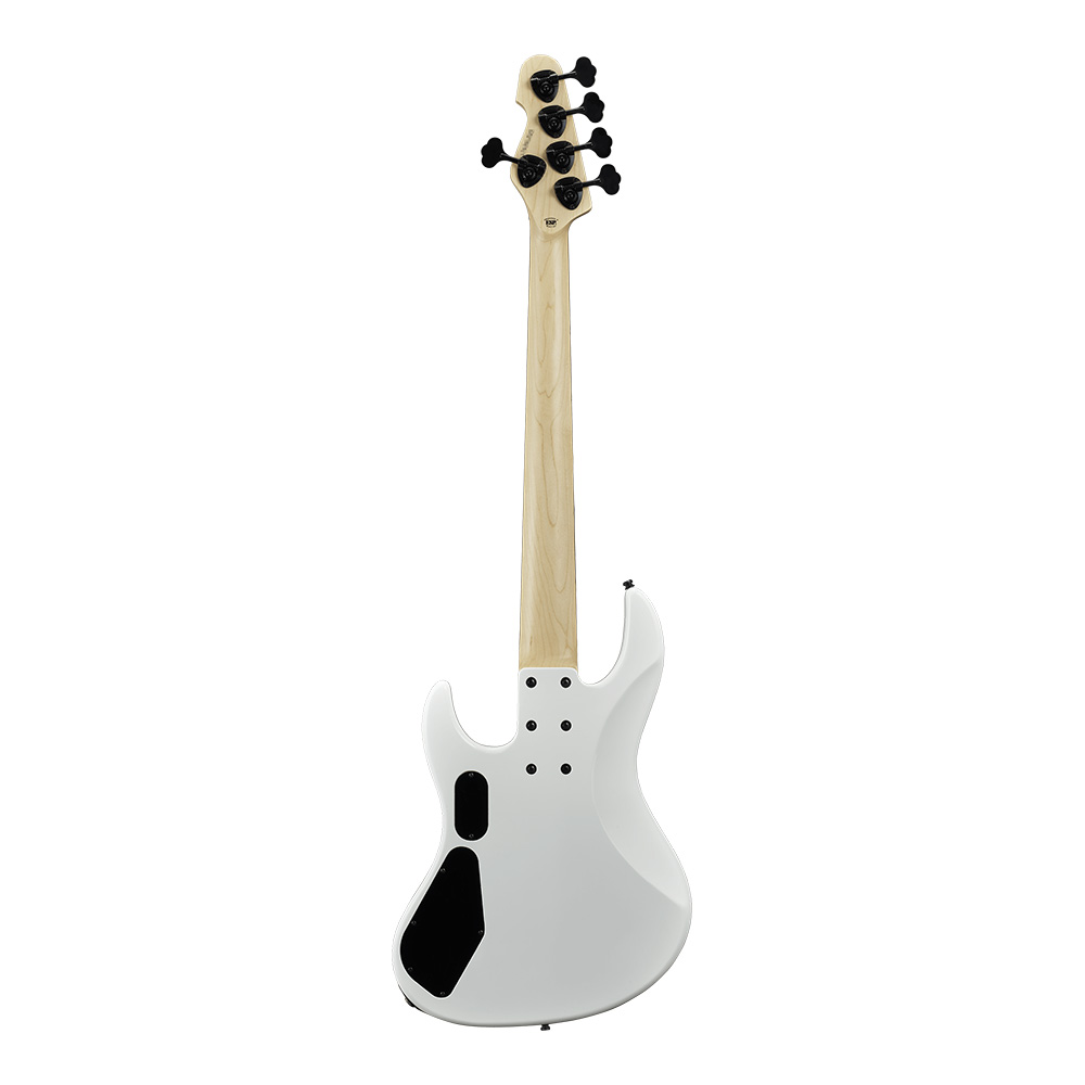 EDWARDS Platinum Edition E-AMAZE-5-190 SW (Snow White) [IKUO