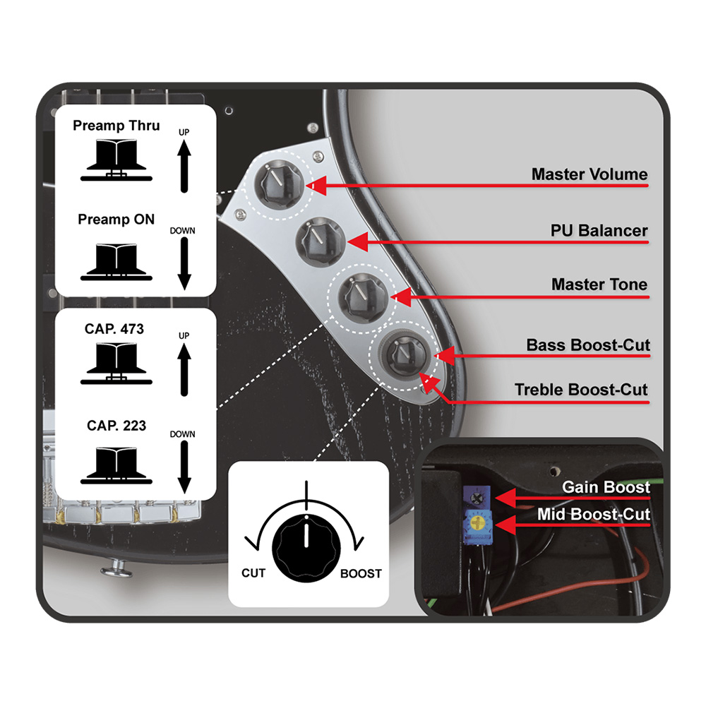 EDWARDS E-AMAZE-AS-4/M SLMB (Solid Metallic Blue)｜ミュージック
