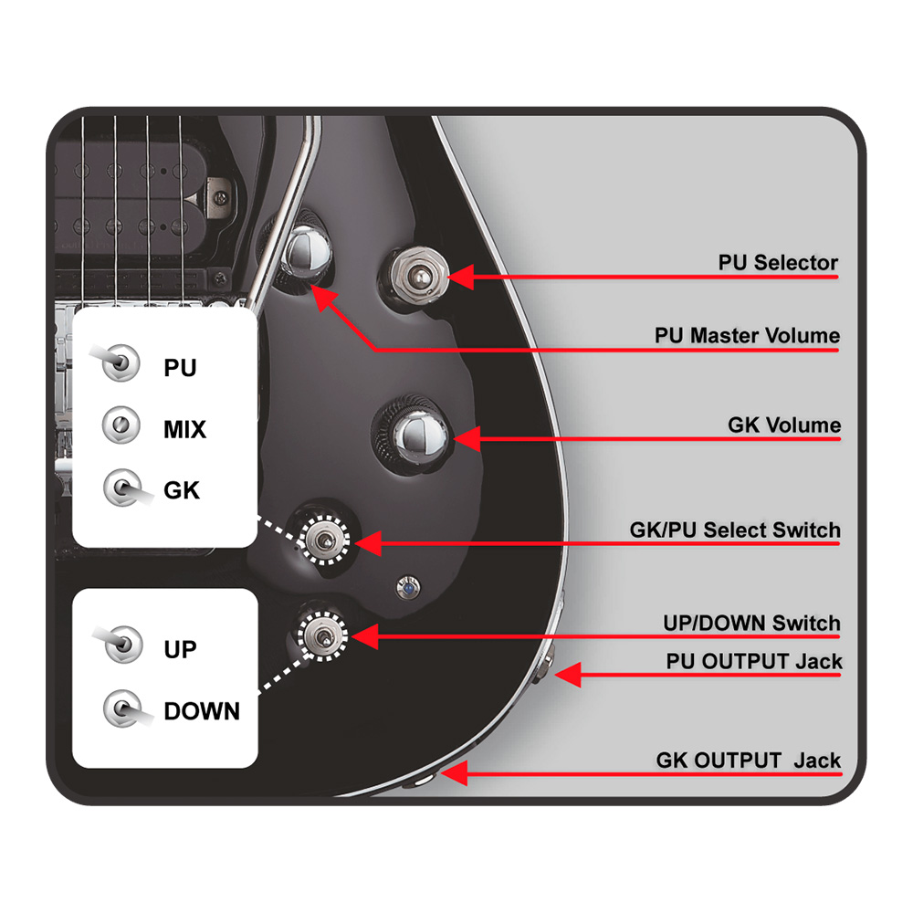 EDWARDS E-HORIZON-7-GK FR Black｜ミュージックランドKEY