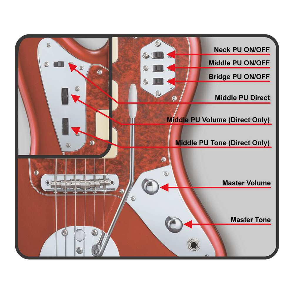 EDWARDS Platinum Edition E-JG SGZ Custom -JGM- CAR (Candy Apple Red) [SUGIZO  Signature Model]｜ミュージックランドKEY