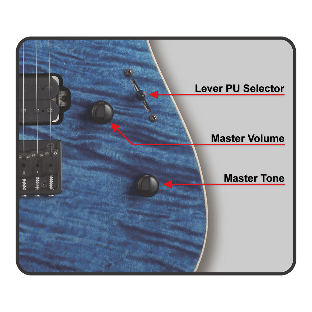 EDWARDS E-M-II CTM Denim Blue (DNBL)｜ミュージックランドKEY