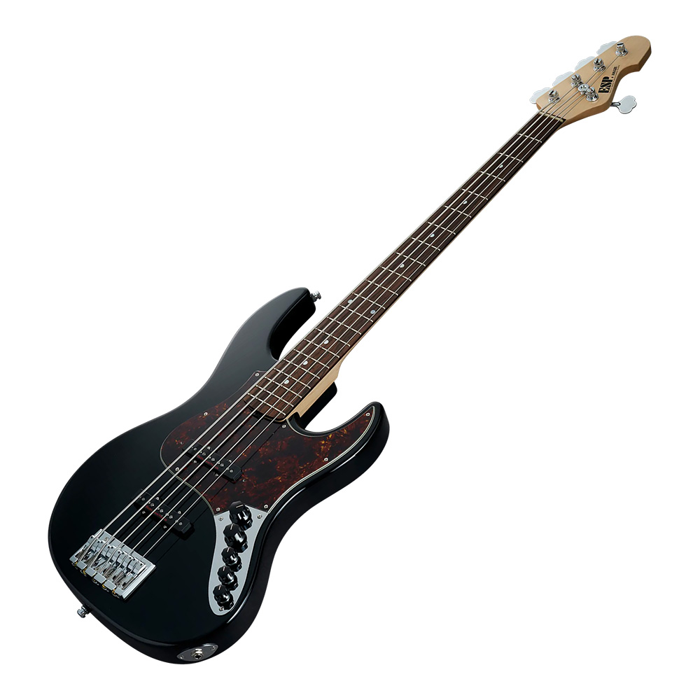 ベース ESP AMAZE AS/M AMAZE-AS-5_BwW_front-1200x440.webp
