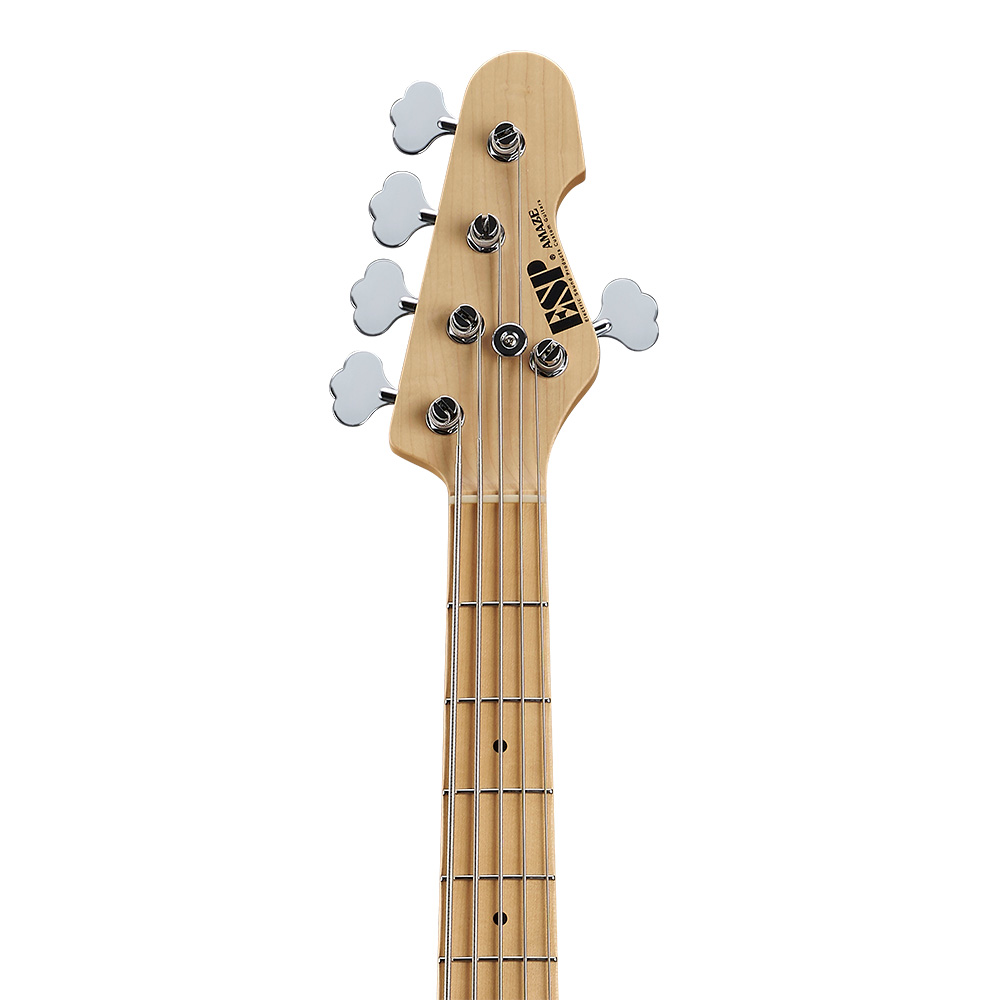 ESP AMAZE-AS-5 DWBBK (Driftwood Blue w/Black Filler)｜ミュージック