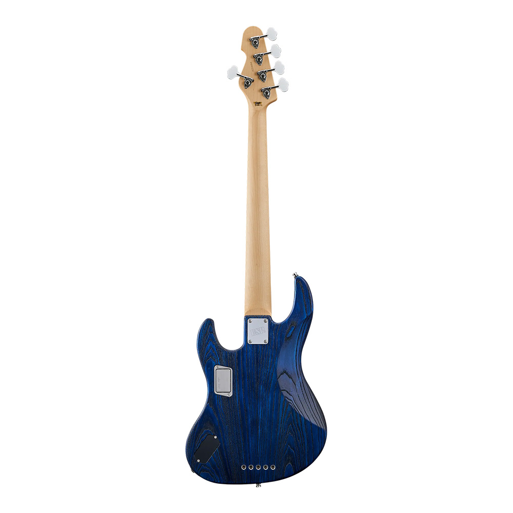 ESP AMAZE-AS-5 DWBBK (Driftwood Blue w/Black Filler)｜ミュージック