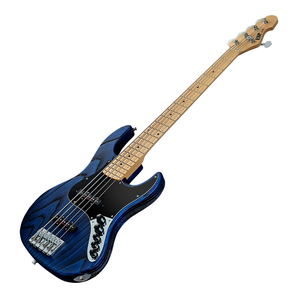 ESP AMAZE-AS-5 DWBBK (Driftwood Blue w/Black Filler)｜ミュージック