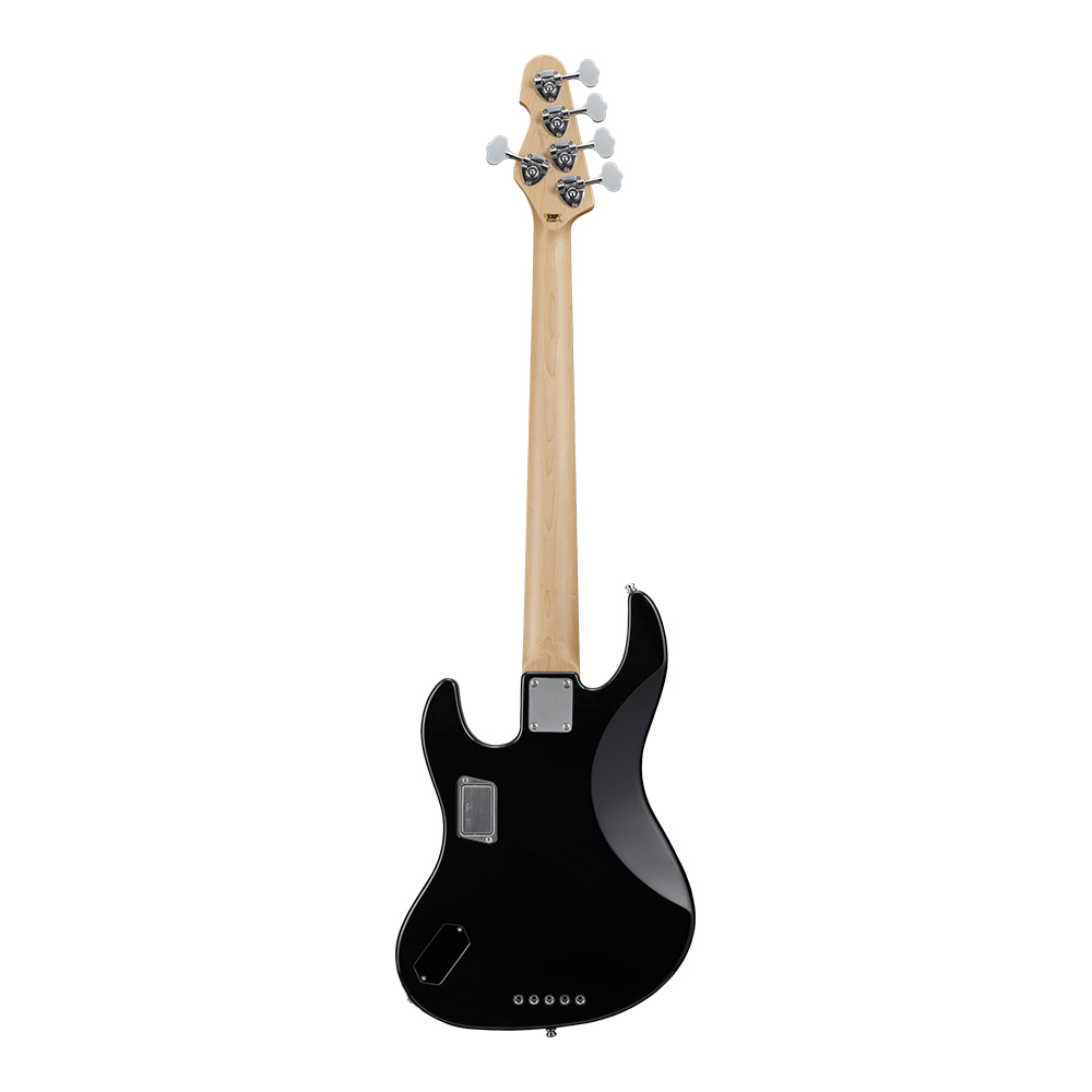ESP AMAZE-CTM-SL5 FM/M Tea Sunburst｜ミュージックランドKEY