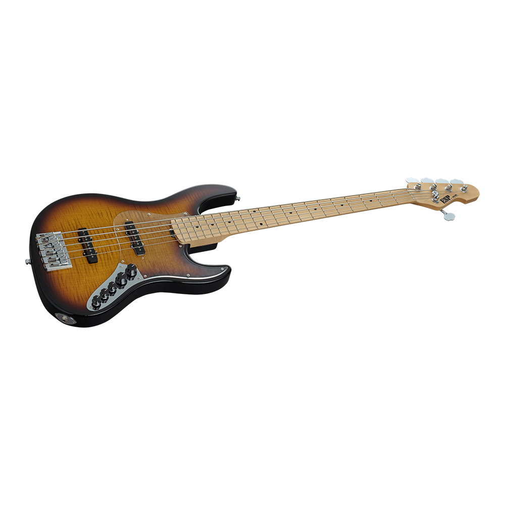 ESP AMAZE-CTM-SL5 FM/M Tea Sunburst｜ミュージックランドKEY