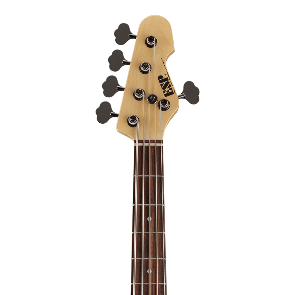 ESP AP-SL5 5弦ベース ESP純正ソフトケース(GIG BAG)付き ESP AP-SL5 R/Granite Sparkle｜ミュージックランドKEY