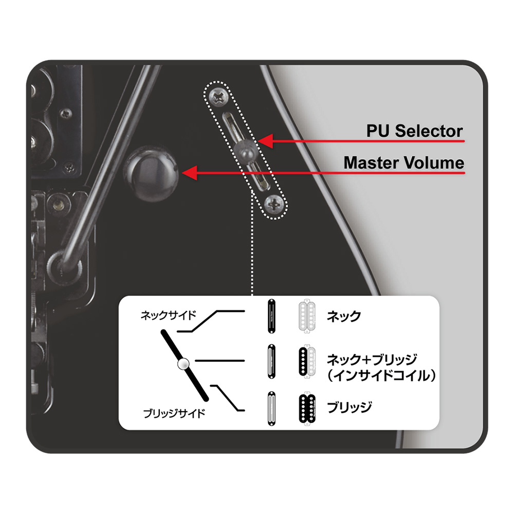 ESP MAVERICK PWGO/M (Pearl White Gold / Maple)｜ミュージック