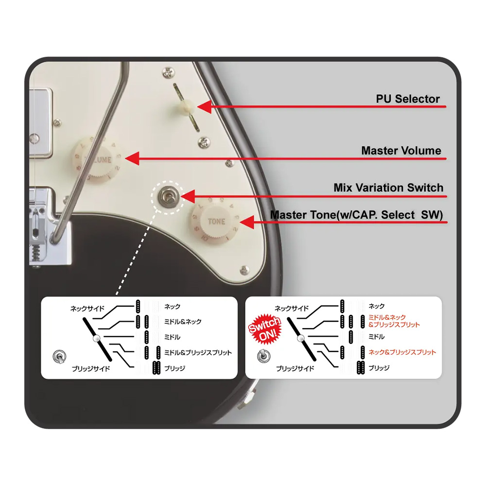 ESP SNAPPER-AS Driftwood Pink w/White Filler｜ミュージックランドKEY