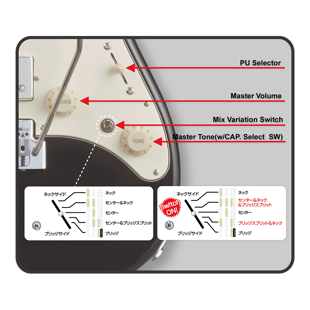 ESP SNAPPER-CTM-FM MABL(Marine Blue)｜ミュージックランドKEY