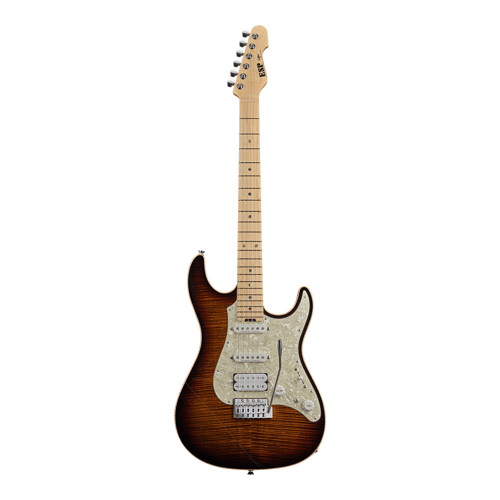 ESP SNAPPER CTAM TGEYE エレキギター Esp Snapper Ctam Tgeye Electric Guitar | eBay