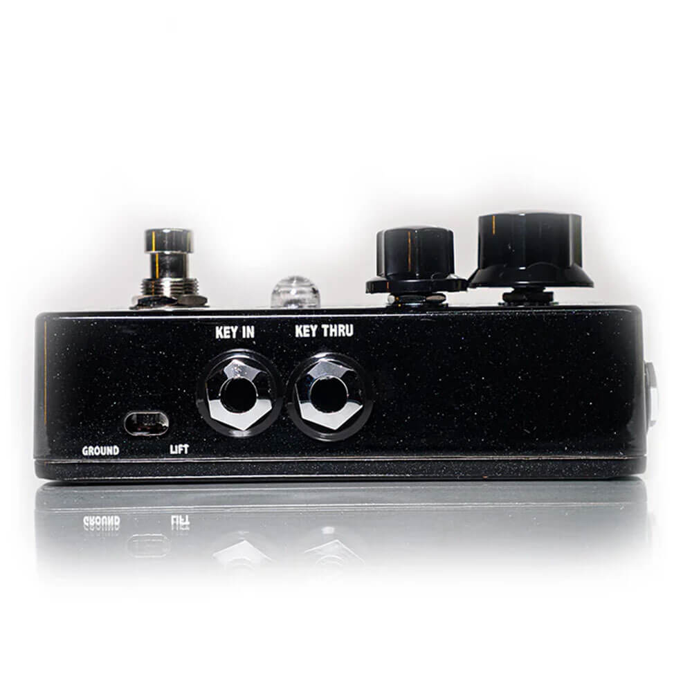 Fortin Amplification ZUUL+｜ミュージックランドKEY