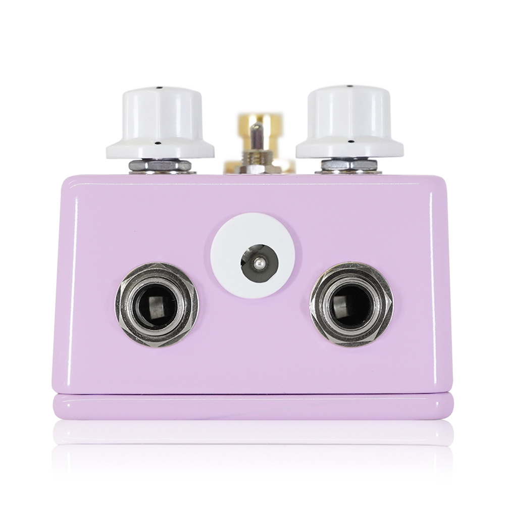 FruitFX Frog Pedal｜ミュージックランドKEY