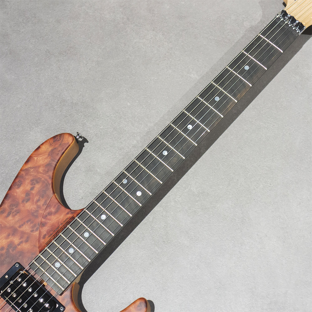 Washburn USA N4-Nuno Burl Maple #2506514｜ミュージックランドKEY