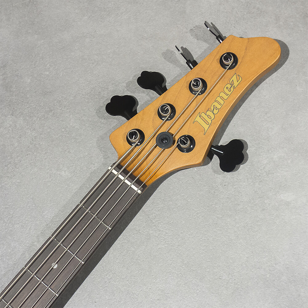 Ibanez Mode MDM1605-DTW (Deep Twilight)｜ミュージックランドKEY