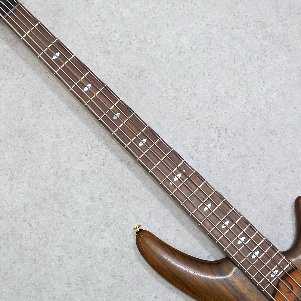 Ibanez SR Prestige SR5505-MHF (Mocha Flat)｜ミュージックランドKEY
