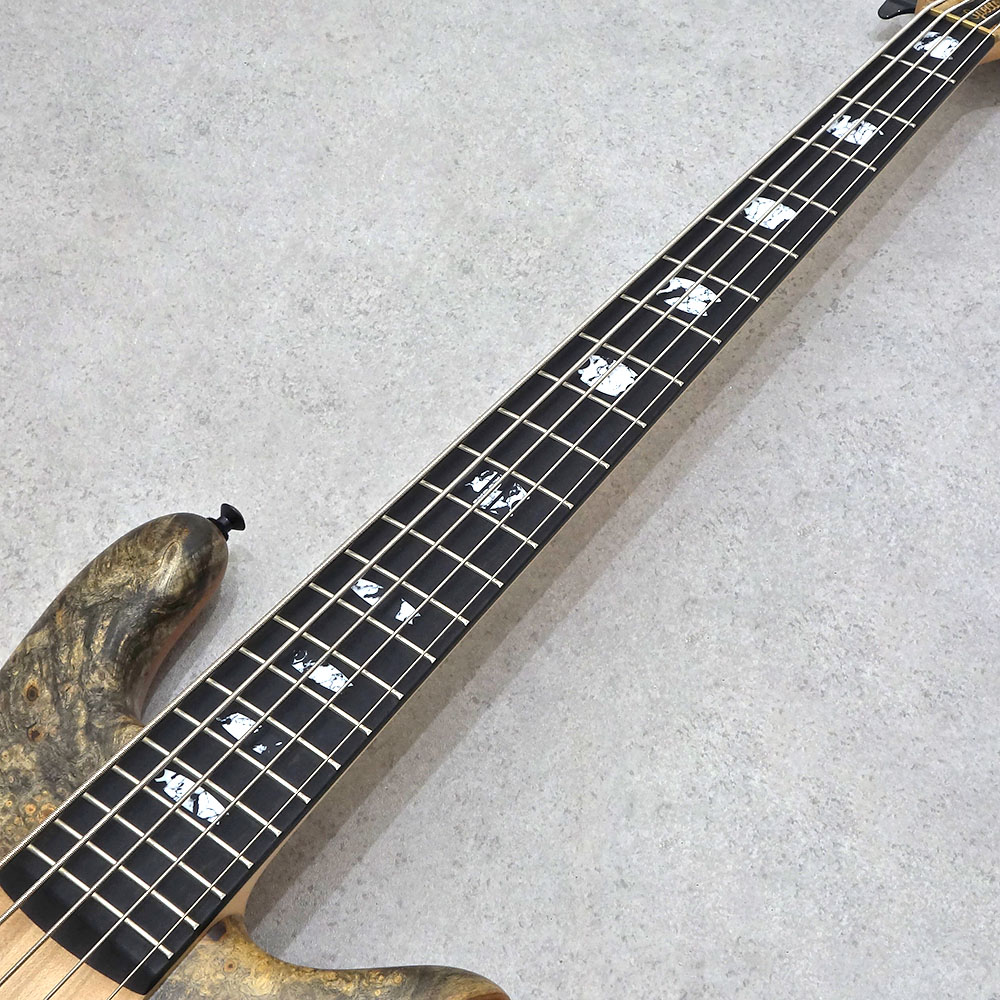 Spector USA Custom Shop NS-5 Natural Matte｜ミュージックランドKEY
