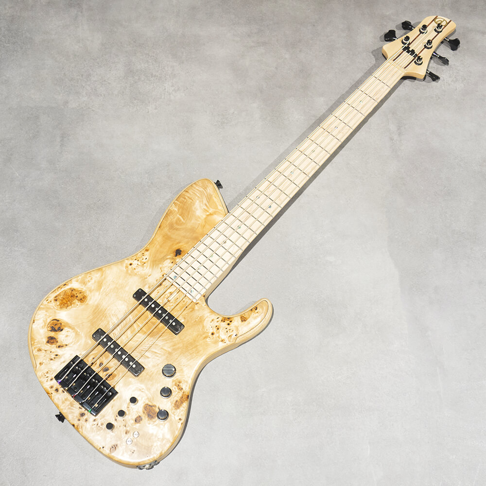 dragonfly SJ5 Custom Poplar/Ash｜ミュージックランドKEY