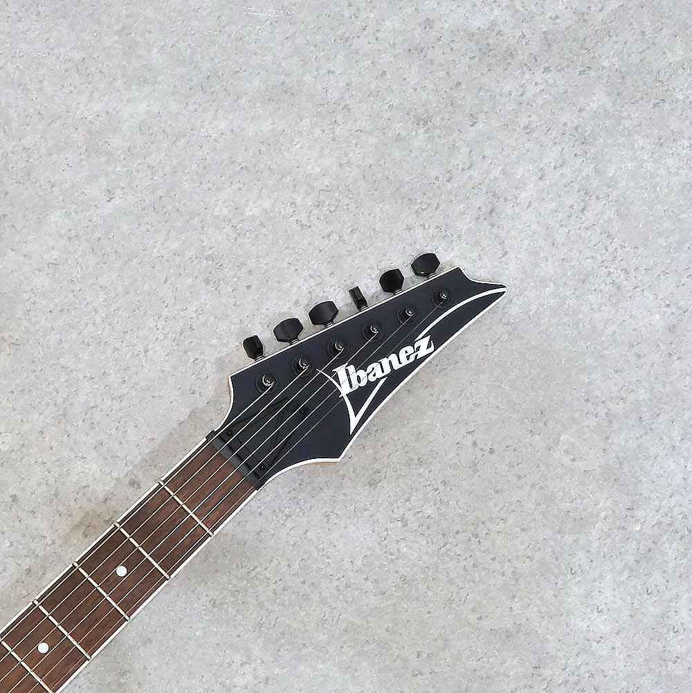 Ibanez RG Standard RG421EX-BKF (Black Flat)｜ミュージックランドKEY