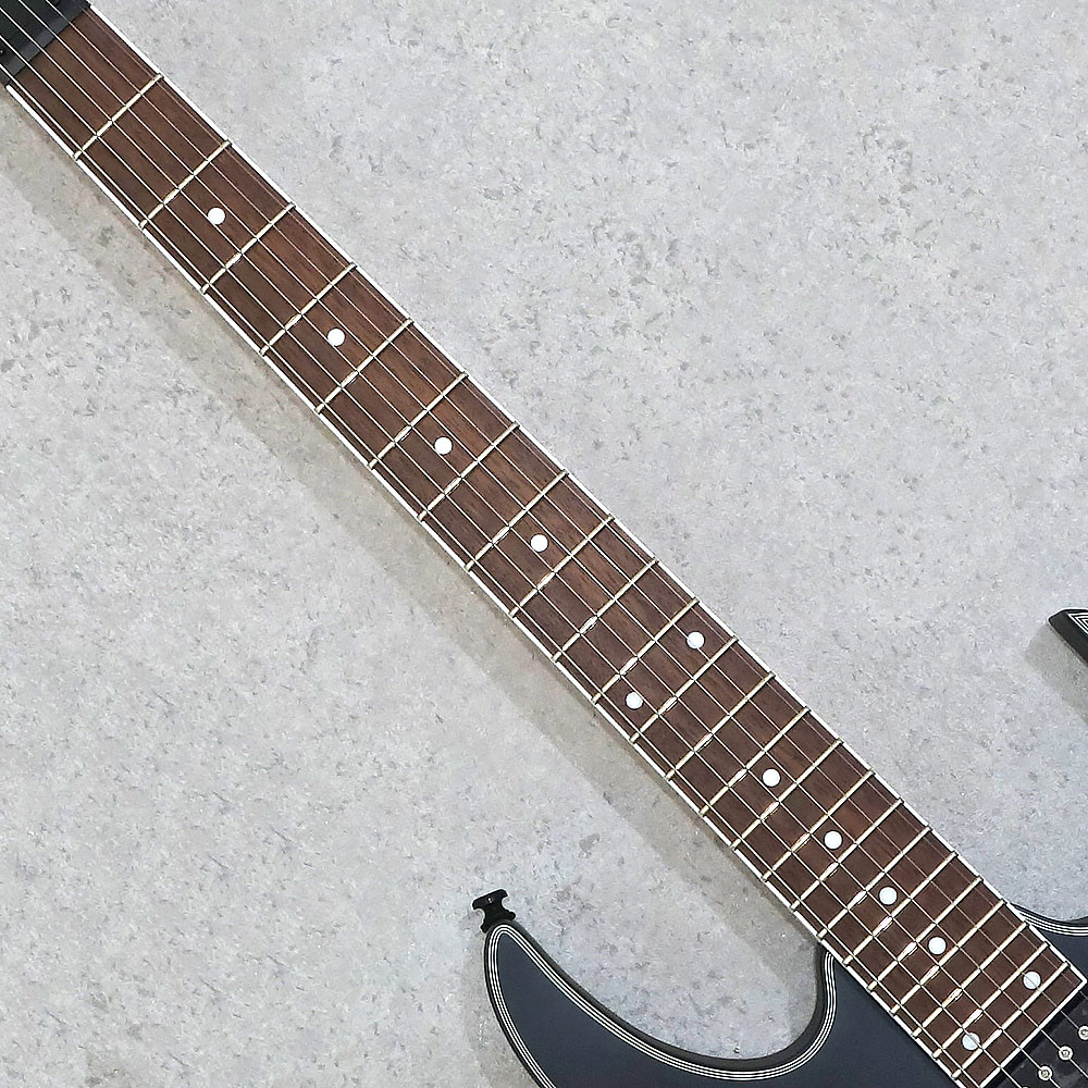 Ibanez RG Standard RG421EX-BKF (Black Flat)｜ミュージックランドKEY
