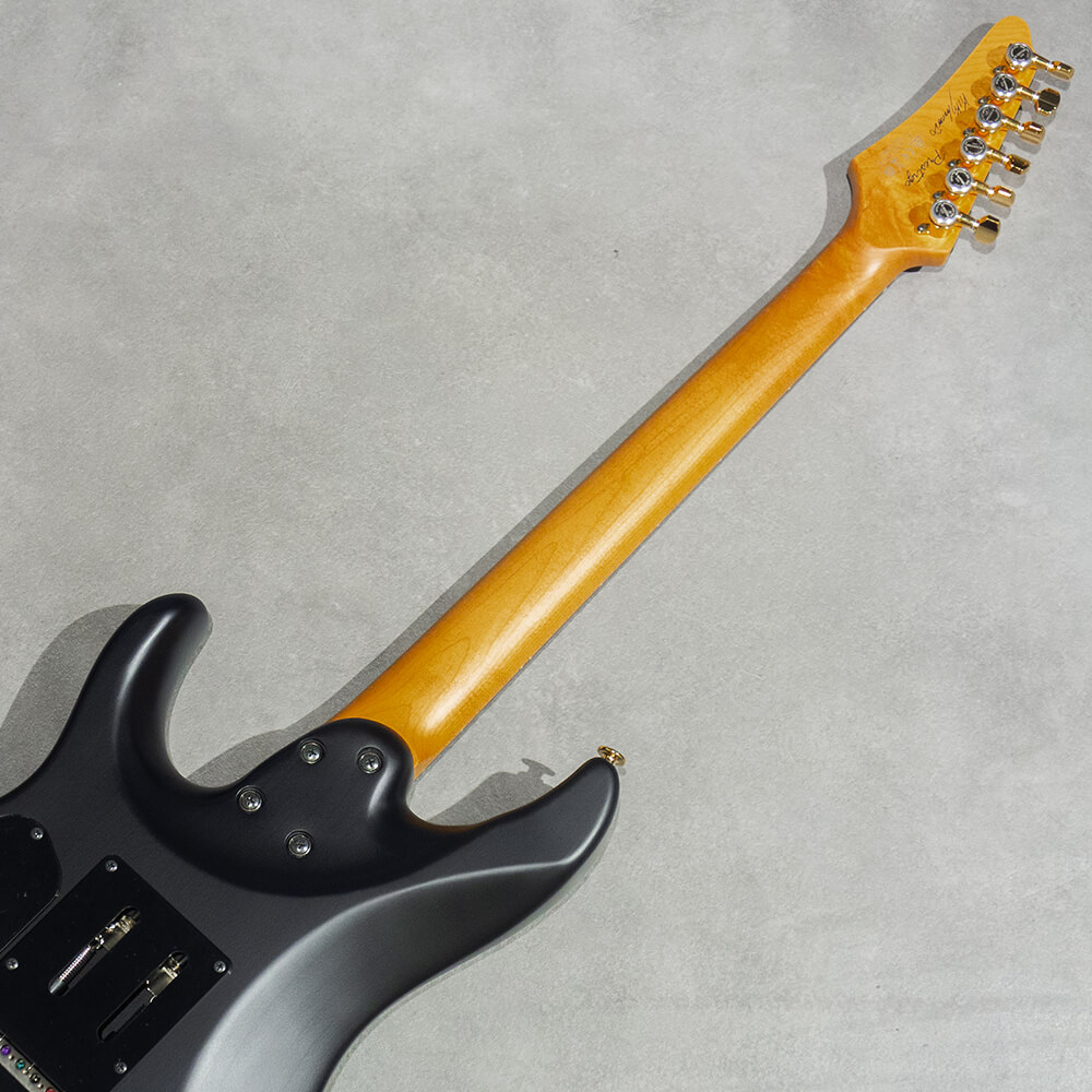 Ibanez KIKO300-RRT (Ruby Red Sunburst Flat) [Kiko Loureiro