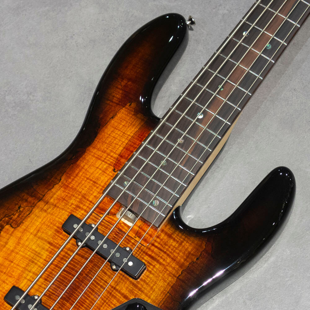 infinite Trad JB 5st Active Bendtop Spolted Maple Bengal Burst 