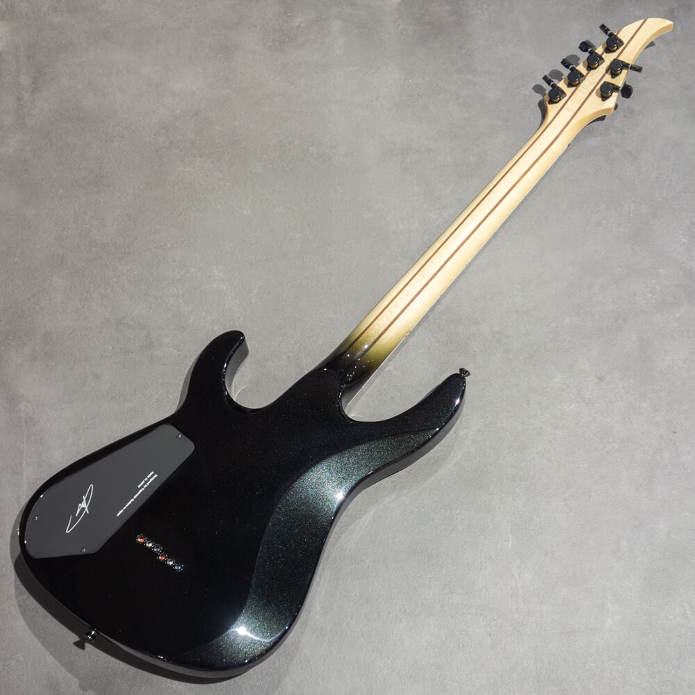 Caparison Guitars TAT Special FX Metal Machine [Adam Dutkiewicz  Signature]｜ミュージックランドKEY