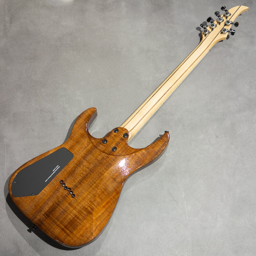 Caparison Guitars Dellinger-WB-FX EF Natural｜ミュージック