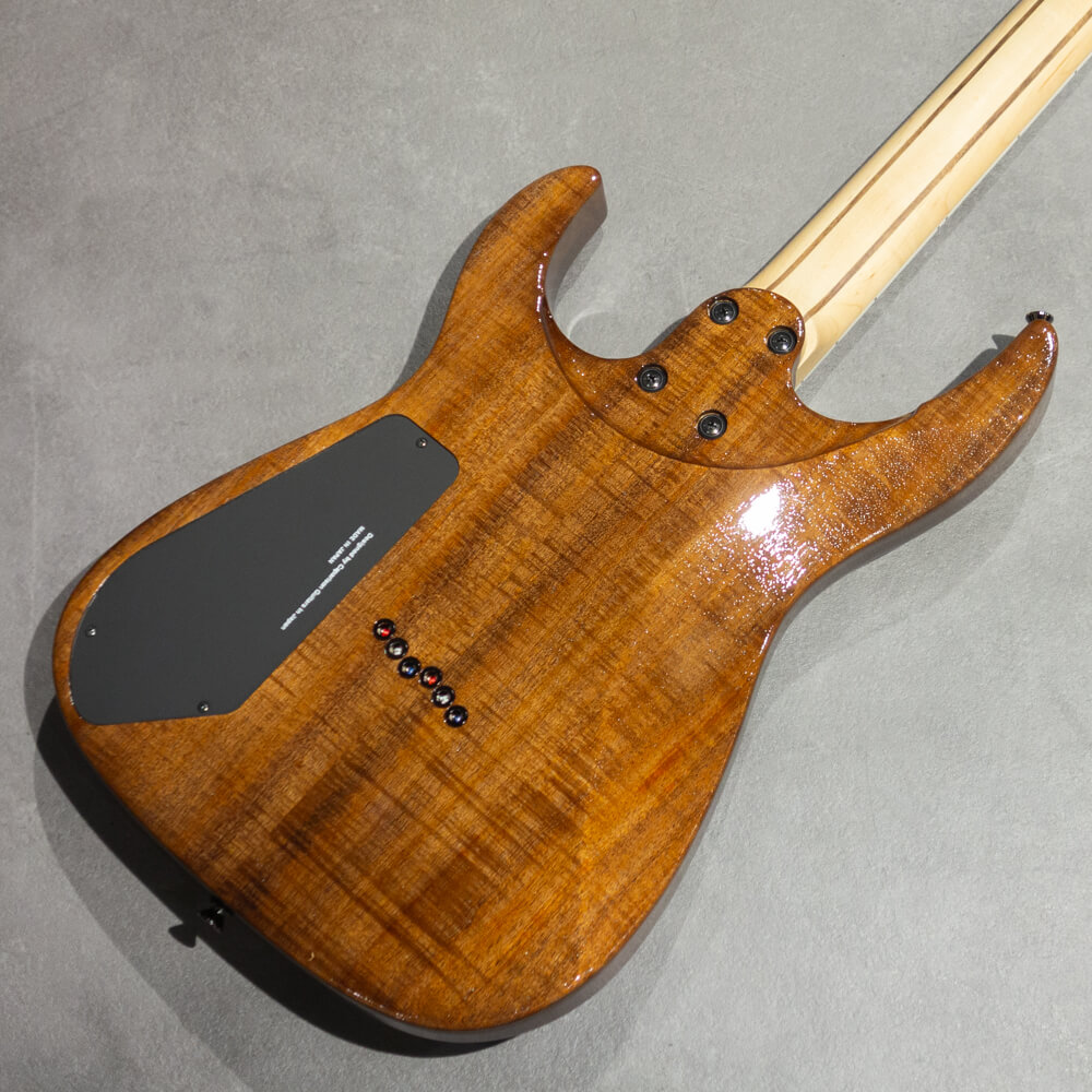 Caparison Guitars Dellinger-WB-FX EF Natural｜ミュージックランドKEY