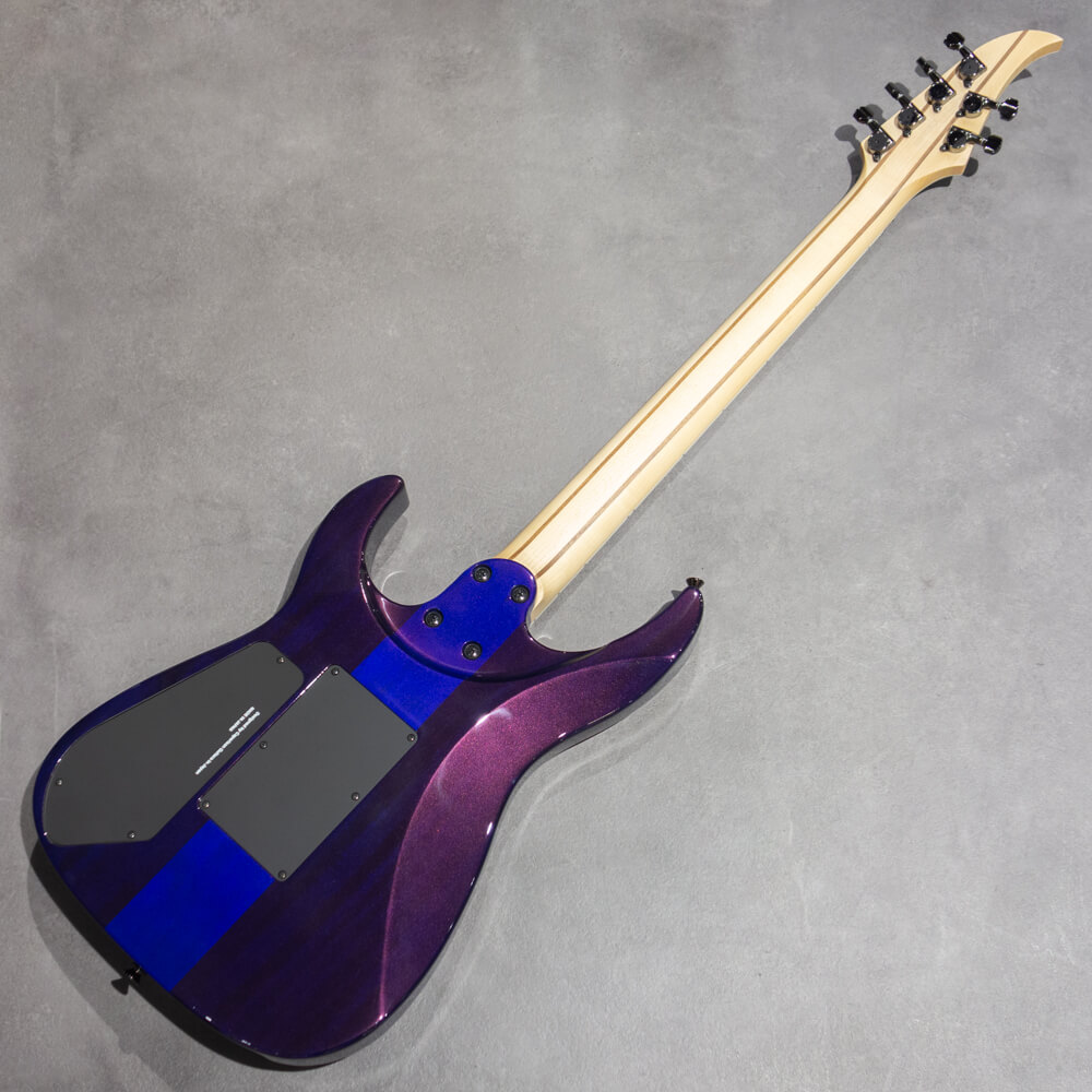 Caparison Guitars Dellinger Prominence(2019) Trans.Spectrum