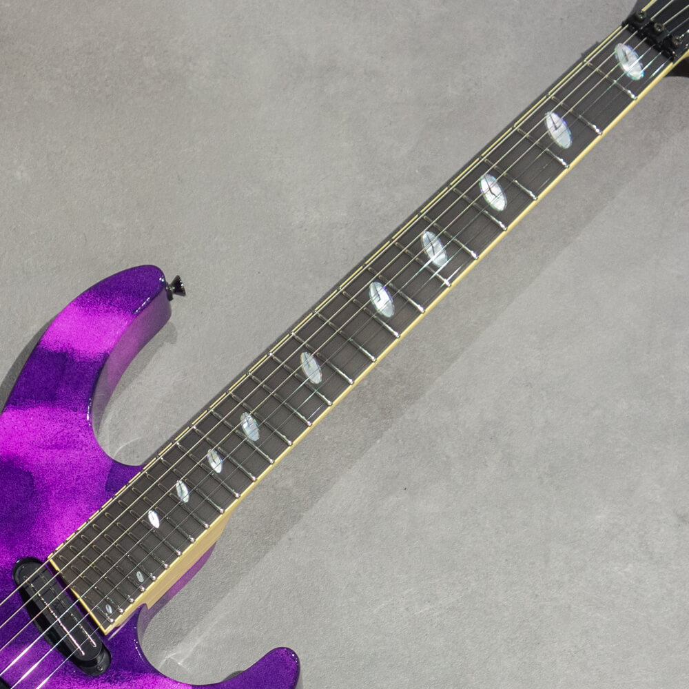 Caparison Guitars Horus-M3 EF Amethyst｜ミュージックランドKEY