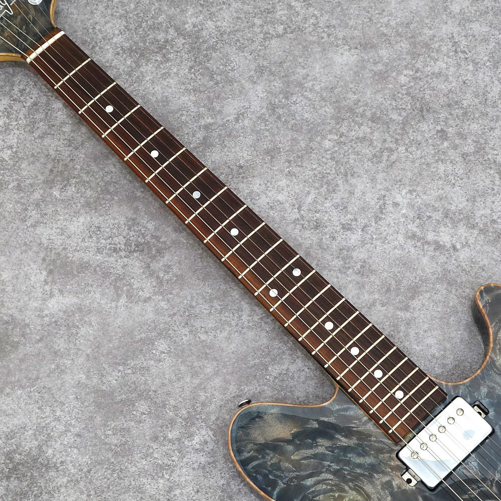 Sugi Guitars DS496C BM-PRM/HM/ALD2P PLB｜ミュージックランドKEY