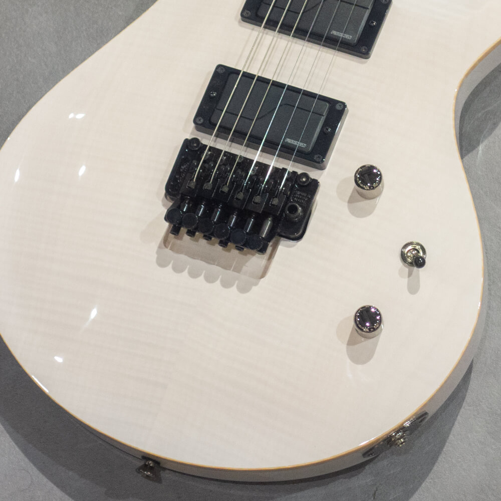 Caparison Guitars Angelus-NH [Nick Hipa (As I Lay Dying