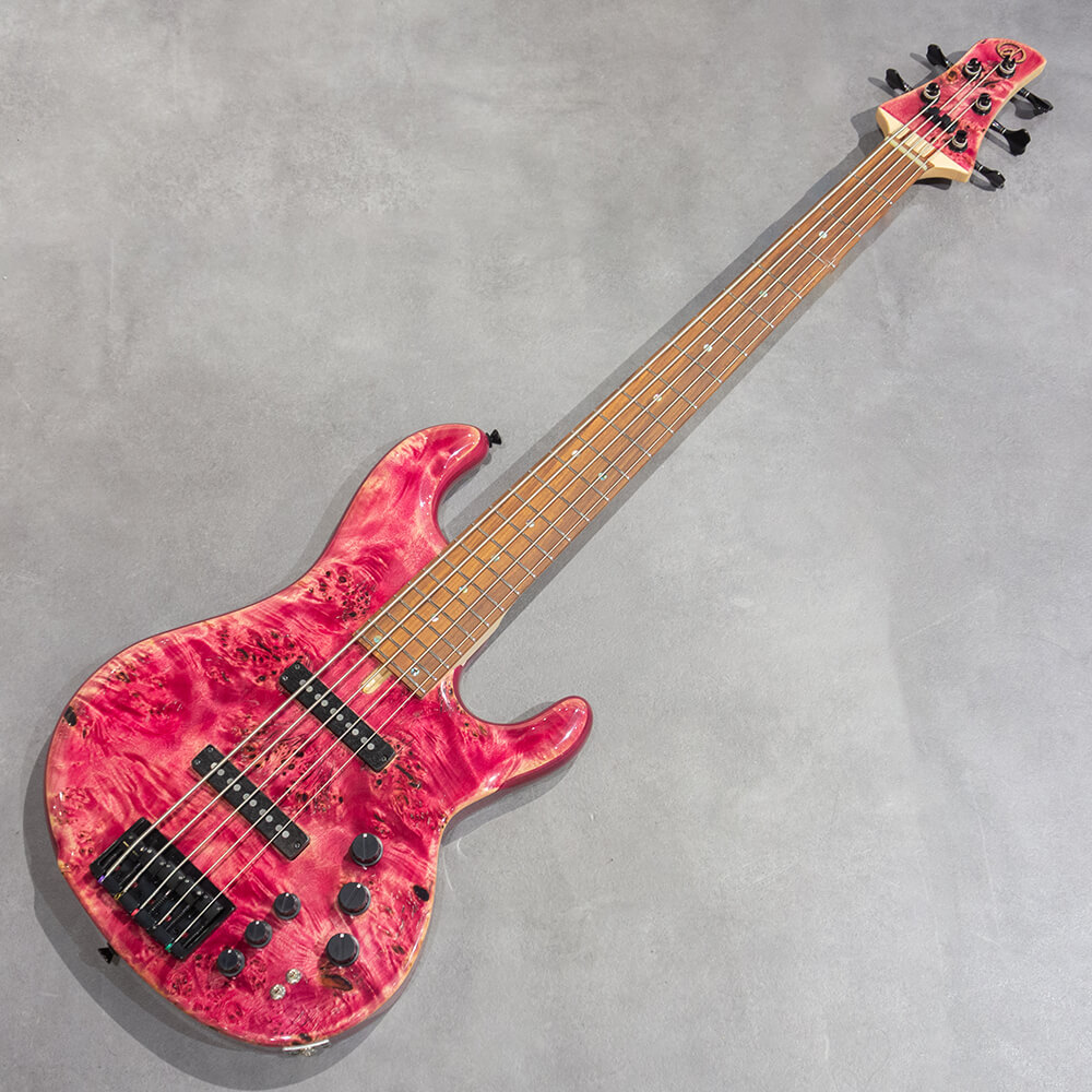 dragonfly CS5/345 CUSTOM BURL MAPLE/L.ASH FROPG｜ミュージックランドKEY