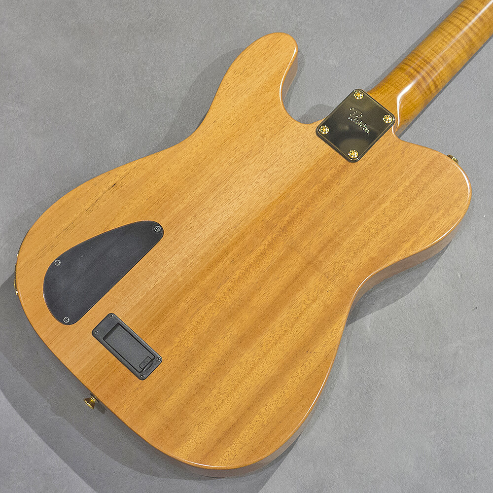 Provision TEC-TL/LTD-Forte #05｜ミュージックランドKEY