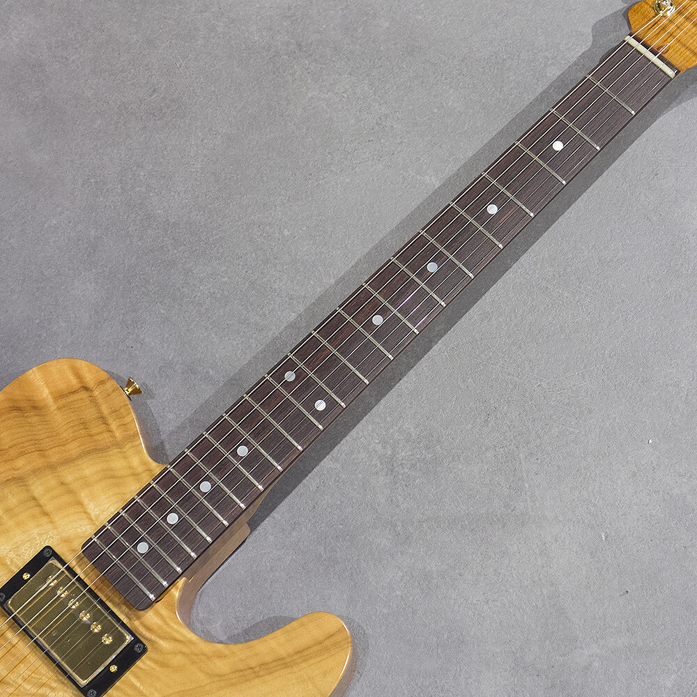 Provision TEC-TL/LTD-Forte #05｜ミュージックランドKEY