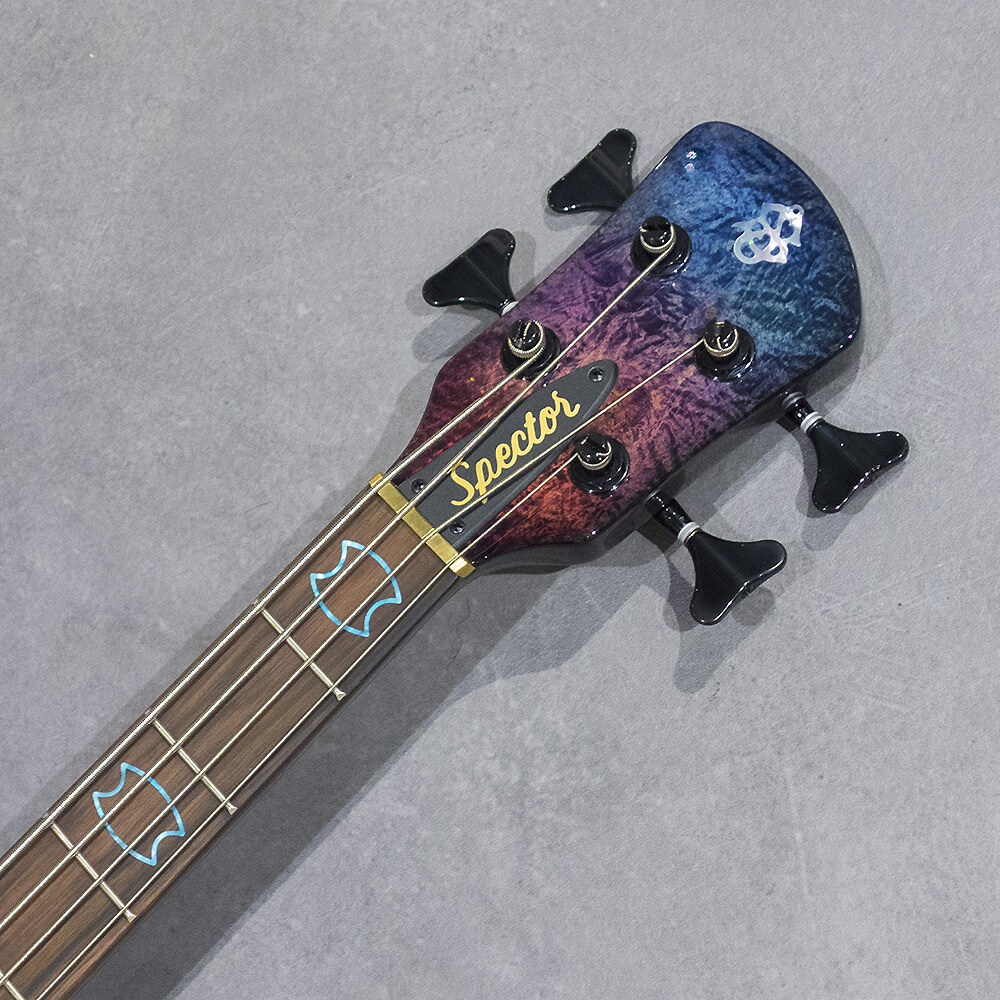 苫小牧バナナ】SPECTOR/スペクター 6弦 エレキベース LEGEND6 CLASSIC
