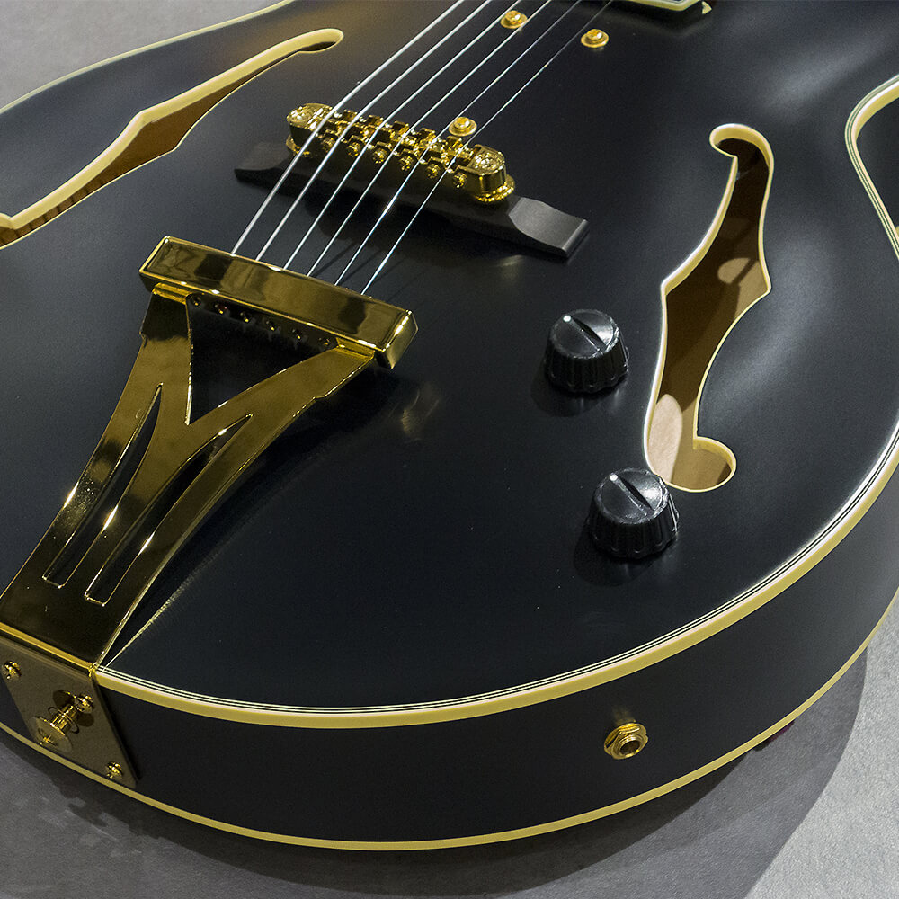 Ibanez SIGNATURE MODEL Pat Metheny PM3C-BKL (Black Low Gloss)｜ミュージックランドKEY