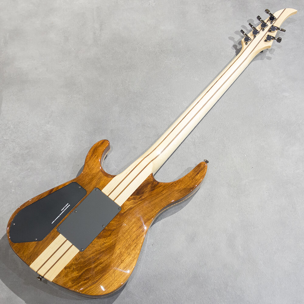 Caparison Guitars TAT Special FM Aqua Burst｜ミュージック