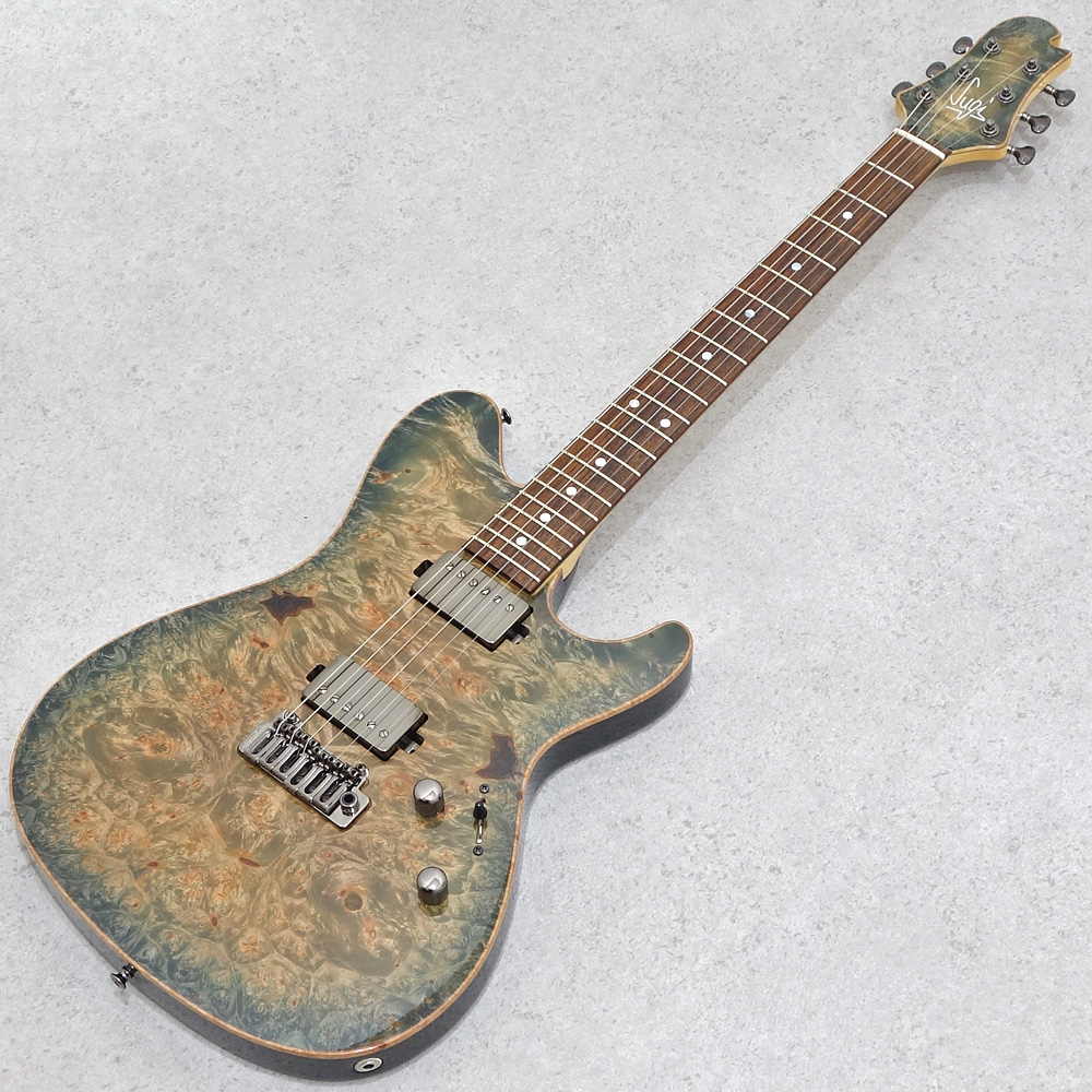 Sugi DH496C BM-PRM/HM/F-MAHO2P LLG｜ミュージックランドKEY