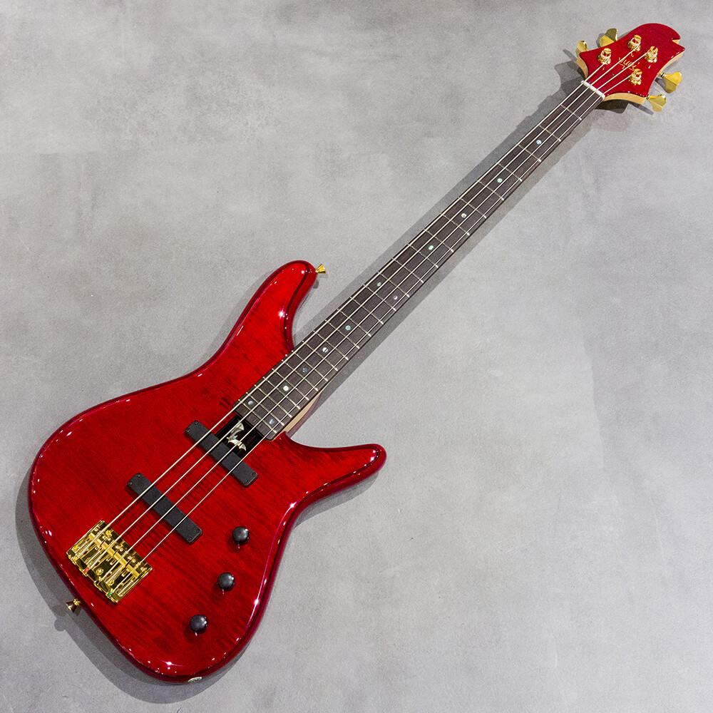 Sugi NB4M SL-ASH/BLK | ワタナベ楽器店 京都本店